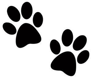 Dog Paws Picture